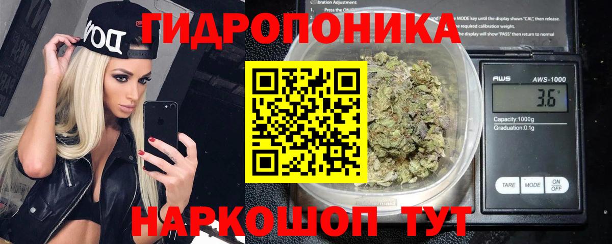 Канабис план Саратов